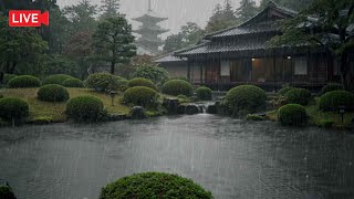 Download lagu 🔴 LIVE 🌧 Japan Temple Rain Relaxing Rain Sounds for Deep Sleep, Study, Stress Relief & Relaxing mp3 Download lagu 🔴 LIVE 🌧 Japan Temple Rain Relaxing Rain Sounds for Deep Sleep, Study, Stress Relief & Relaxing mp3