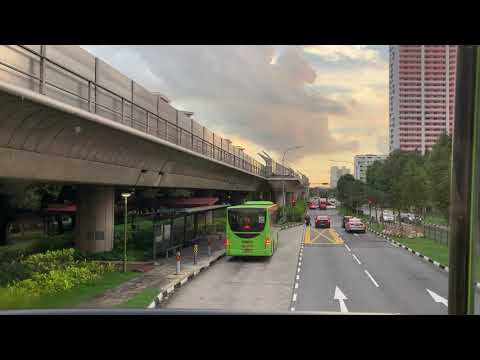 [2/3] Tower Transit SG Alexander Dennis Enviro500 MMC (Batch 1) SMB3504D on Service 990