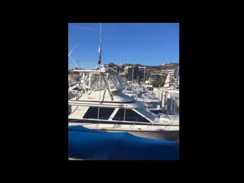 Hermosa Mañana En La Marina De Cabo San Lucas.  Beautiful Morning At Marina Cabo San Lucas.