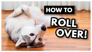 The EASIEST way to Teach Your Dog to ROLL OVER! | How to teach your dog to roll over