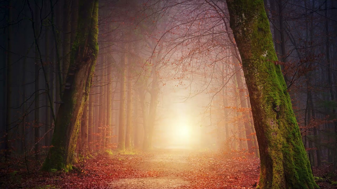 Soothing, calm Music - Sanfte, beruhigende Musik