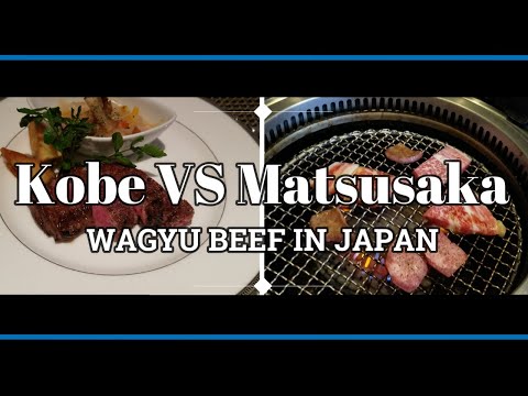 Kobe VS Matsusaka Wagyu Beef in Japan