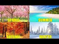 SEASONS OF THE YEAR For Kids Learn Spring Summer Autumn And Winter