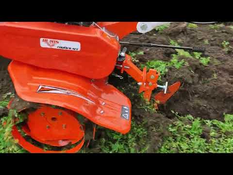 orieme 😉 Ruris om