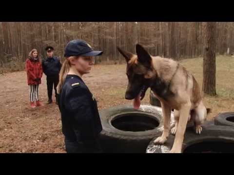 ZB 6ser - PROFESIJA Kinelogs