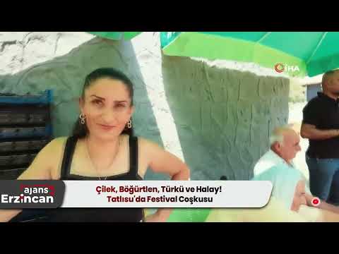 Çilek, Böğürtlen, Türkü ve Halay! Tatlısu'da Festival Coşkusu