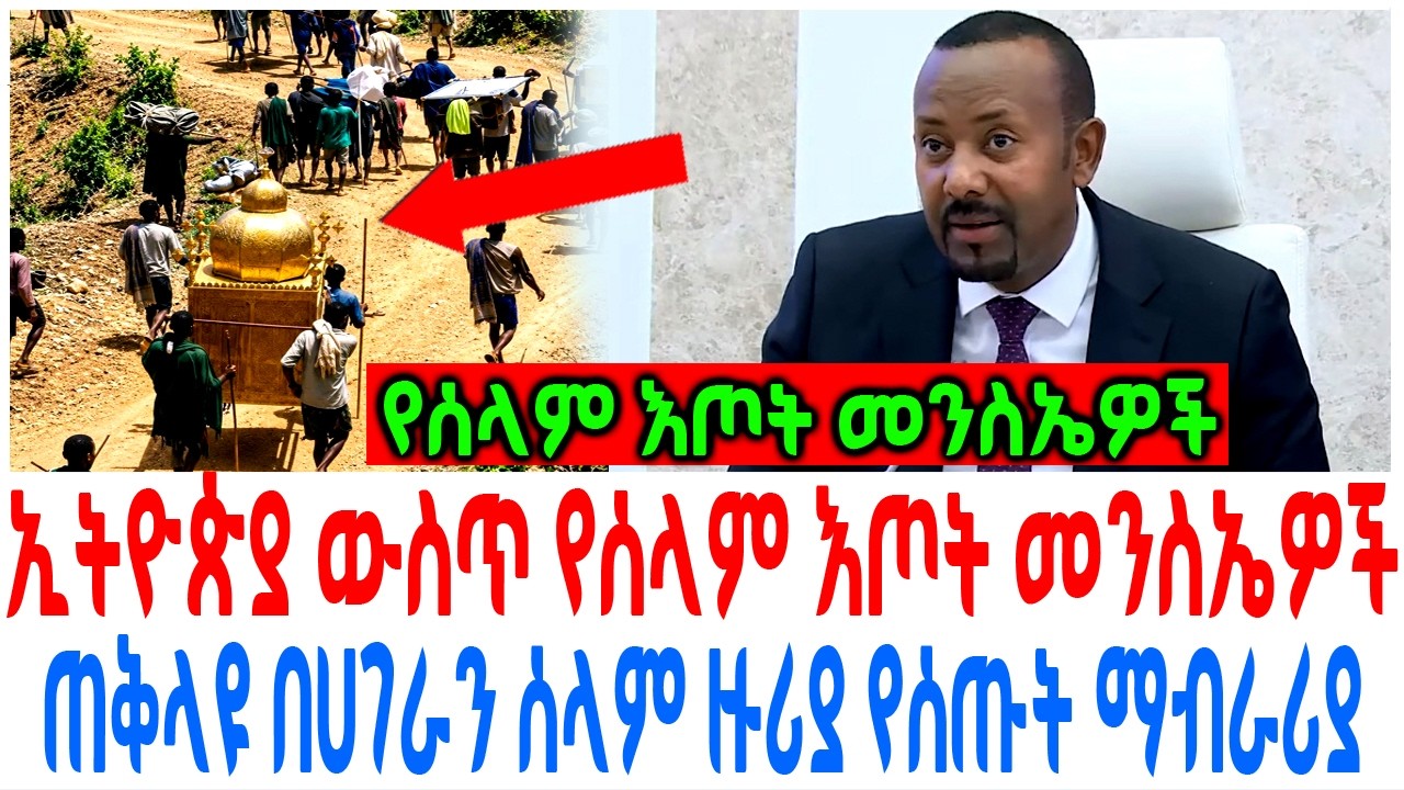 ኢትዮጵያ ውስጥ የሰላም እጦት መንስኤዎች ጠቅላዩ በሀገራን ሰላም ዙሪያ የሰጡት ማብራ?