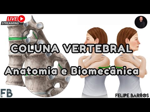 Coluna Vertebral: Anatomia e Biomecânica #aulacompleta  | Prof. Felipe Barros