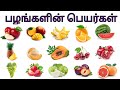 Fruits Name In Tamil பழங்களின் பெயர்கள் Fruits Name Fruits
