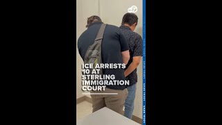 ICE arrests 10 people at a Sterling, Virginia immigration court