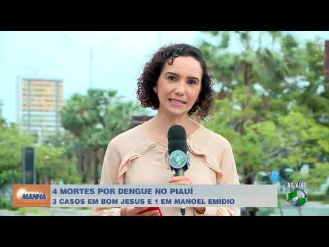 Sesapi oficializa 4ª morte por dengue no Piauí e Bom Jesus e Currais preocupam