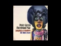 Peter Green & Fleetwood Mac - Mind Of My Own ( Jumping At Shadows The Blues Years ) 1970