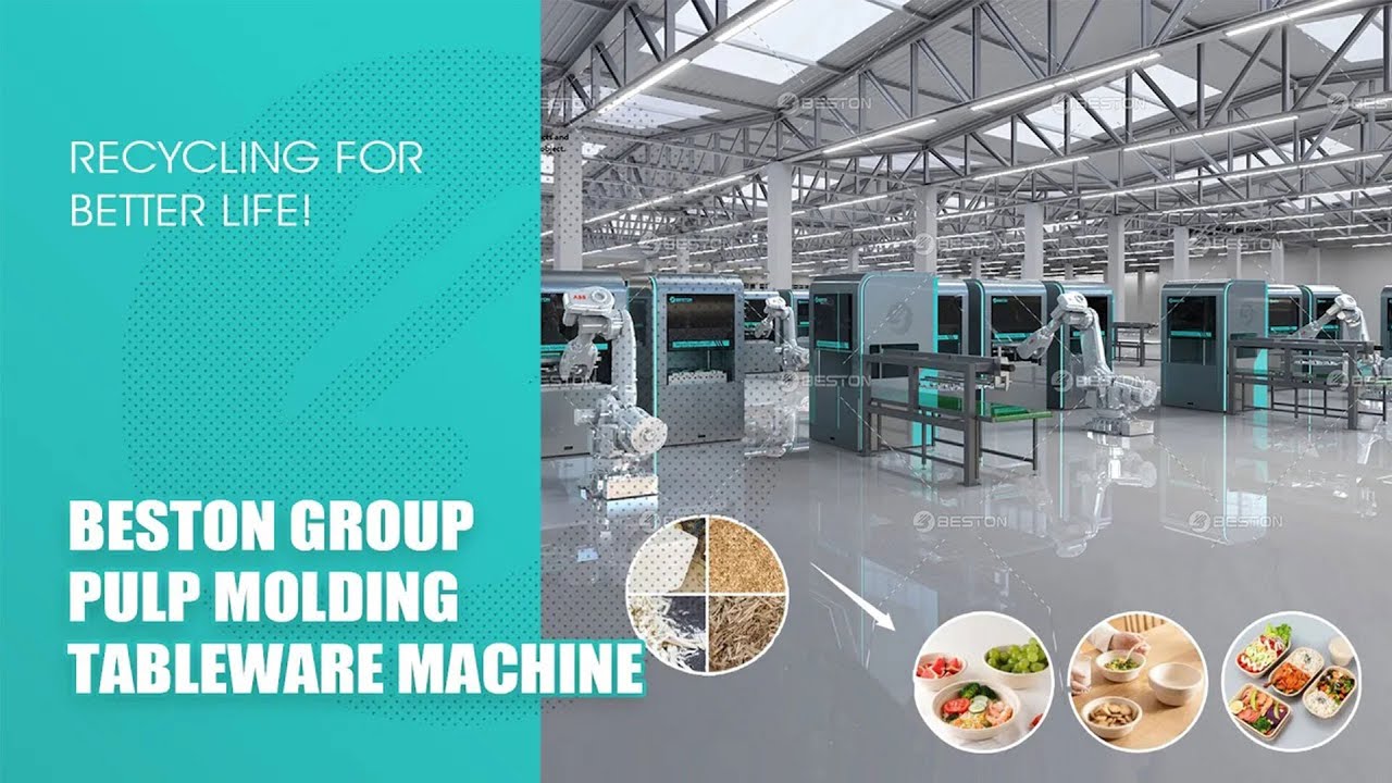 3D Video of Beston Group Pulp Molding Tableware Machine