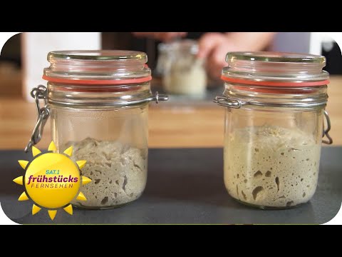 Selbstgemachter Sauerteig - so geht's | SAT.1 Frühstücksfernsehen