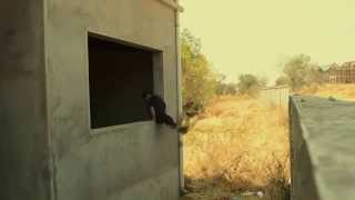 another day, another night .SOT