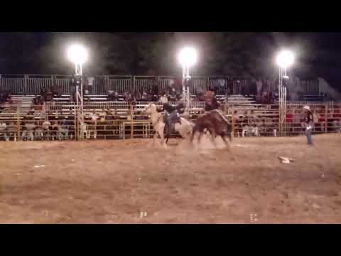 Rodeio em Cavalos Modalidade Cutiano