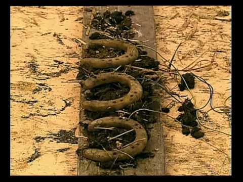 look around you sport part1