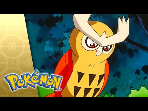 Fowl Play! | POKÉMON FULL EPISODE 38 | Season 3