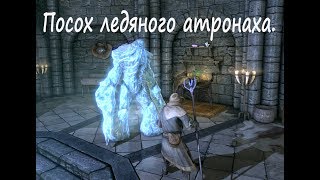 Посох ледяного атронаха в начале игры.