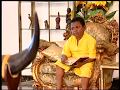 STUBBORN FLIES NOLLYWOOD BLOCKBUSTER MOVIE