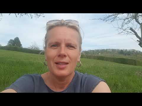 Paralelne realnosti - Bojana Svalina