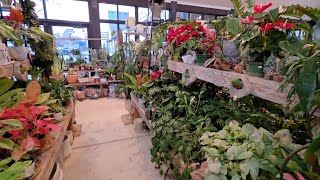 This Nursery is Wonderful! Plant Haven