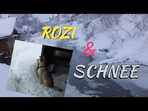Rozi's 1. SCHNEE💗😱❄ | Niki