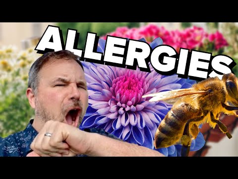 HOW TO TALK ABOUT ALLERGIES IN ENGLISH