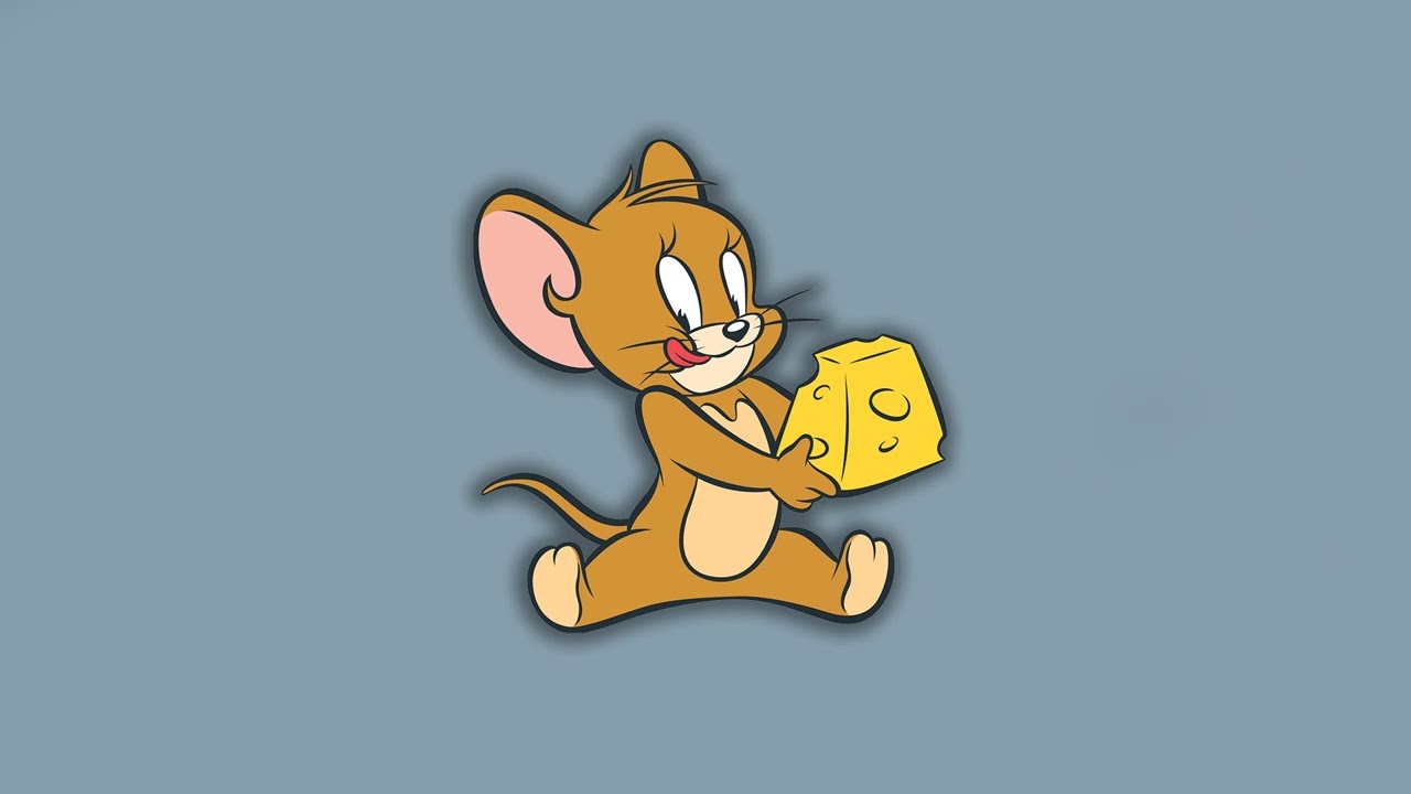 [ playlist ] 1日の始まりにかけ流したい心地のいい音楽 ~  BEST SONGS 2024 | 旅する365日