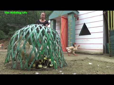 FULL VIDEO: 200 Days Build Farm Life, Raising Geese, Agricultural Harvest, Cooking |  Free Bushcraft