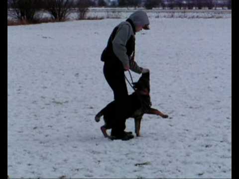 Brendy z Atarova sadu