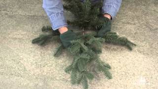 How To Properly Shape an Artificial Christmas Tree Branch
