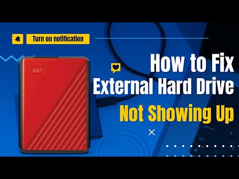 How to Fix External Hard Drive Not Showing Up 2024 Windows 11/10