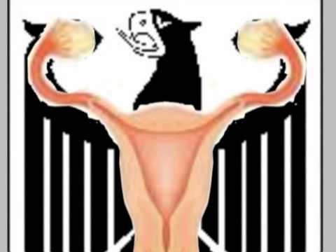Umfassende Untersuchung und Behandlung von Wirbelsäule Beste Salbe für Arthrose des Kniegelenks