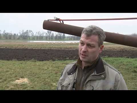 die weihnachtsbaumkanone