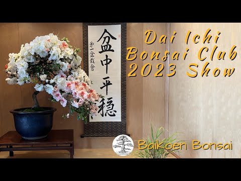 Dai Ichi Bonsai Club 2023 36th Annual Show - Bonsai Exhibition - Baikoen Bonsai Club