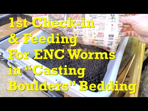 First check on 1-week ENC worm bin with castings boulders used as bedding - vermicompost