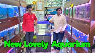Fish Stock & Plants Stock at New Lovely Aquarium Store