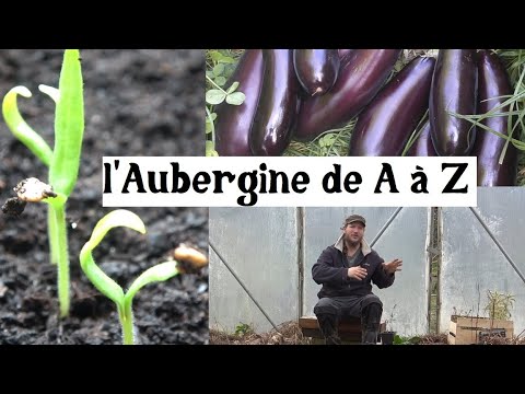 , title : 'l'Aubergine de A à Z (presque)'