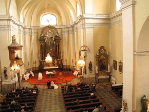 Hledám Tvoji tvář - schola Pozořice "Pošukov" (svatba Hanka Svobodová a Ondra Sedlák 30.8.2014)