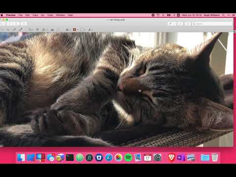 View video for Resizing an image for posting to Blackboard on MacOS