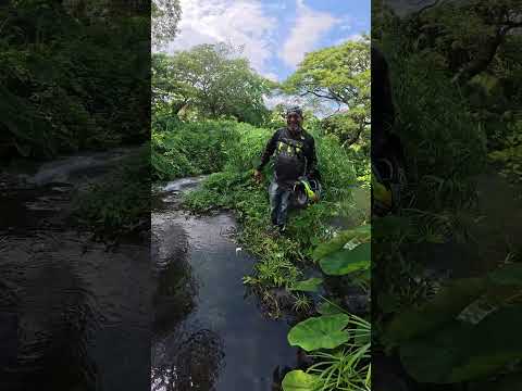 El río más bonito de El Salvador, Caluco Sonsonate 🇸🇻