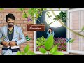 Naa Kosam - Lyrical Video | Bangarraju | Naga Chaitanya | Krithi Shetty | Anup Rubens | Sid Sriram
