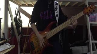 Fear, and Loathing in Las Vegas/Starburstをベースで弾いてみた