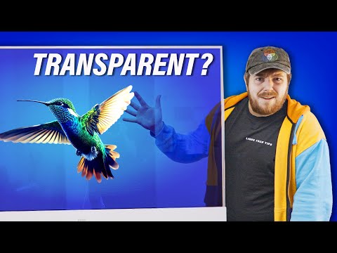 I promise this isn't dumb. - Veeo Transparent Display