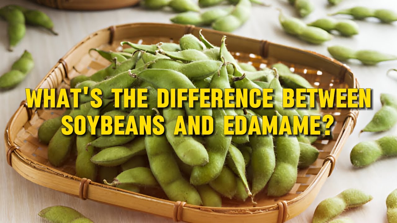 What's the difference between soybeans and edamame?