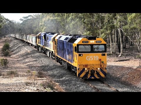 G519-X48-XR558 on 7937V to Birchip Grain Flow on Bealiba Bank.   11-03-19.  09.53.55.