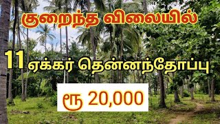 11 ஏக்கர் தென்னந்தோப்பு விற்பனை | குறைந்த விலையில் | #landsale #landsalerealestate