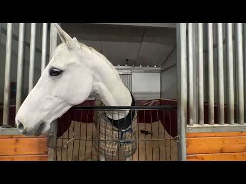 Bergen Equestrian Center