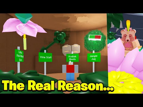 Why Onett Doesn't Release Bee Zones/New Gear Anymore.. (The Real Reason) (Bee Swarm Simulator)